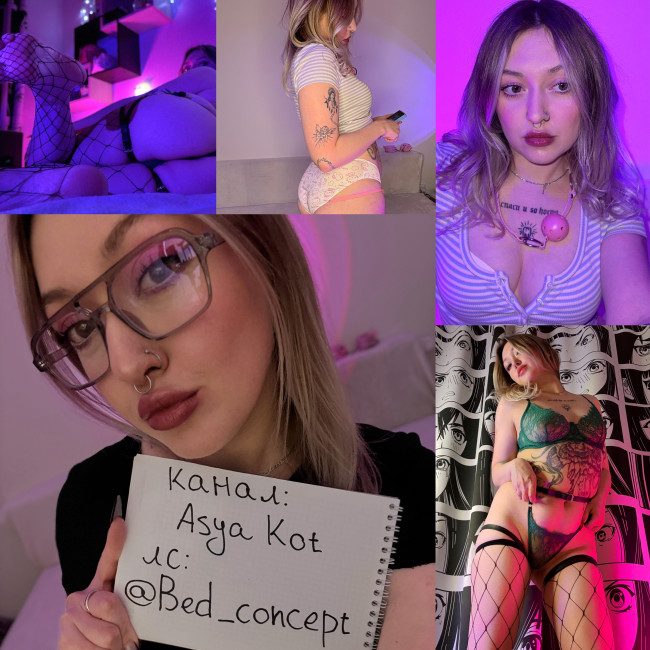 Ася кот